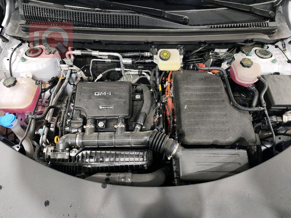 بي واي دي ‎سونغ برو DM-i